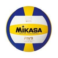FBT Store Volleyball 11