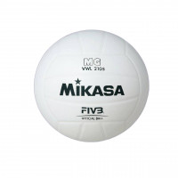 FBT Store Volleyball 12