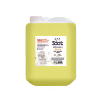 KLEN DISH WASHING LIQUID ( ANTI-BACTERIAL ) PROFESSIONAL ECONOMIC 20L