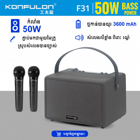 KONFULON Karaoke speaker with dual microphone Model F31