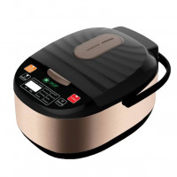 Lina Store Rice cooker Soup Porridge Steam Cake Yogurt Presser Size 5L SGP-SR19