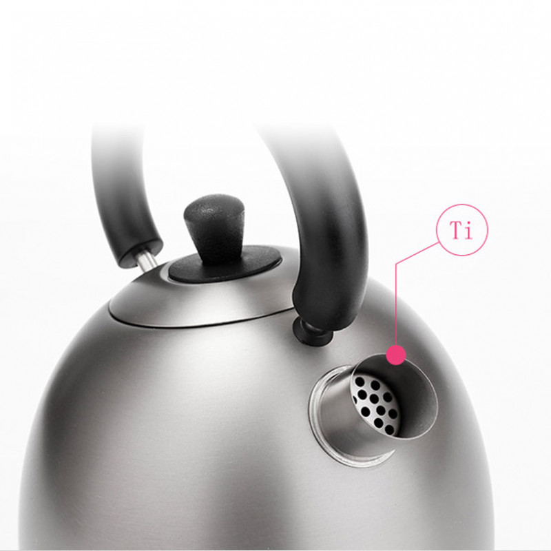 Healthy portable titanium kitchenware electric tea kettles hot water kettle