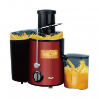 Multifunctional Juice Separation Of Fruits And Vegetables  RAF R-2817