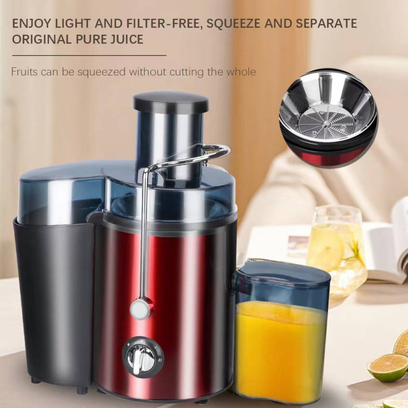 Multifunctional Juice Separation Of Fruits And Vegetables  RAF R-2817