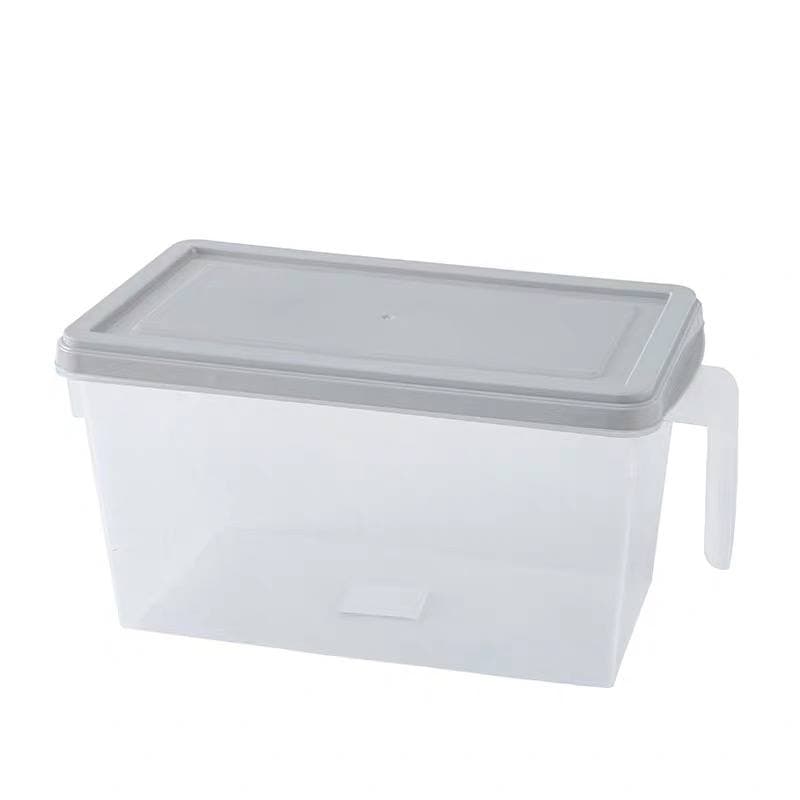 Fridge Organizers and Storage Clear  & Lid,Fruit Containers for Fridge,Fridge Storage To Keep Fresh for Food, Vegetables