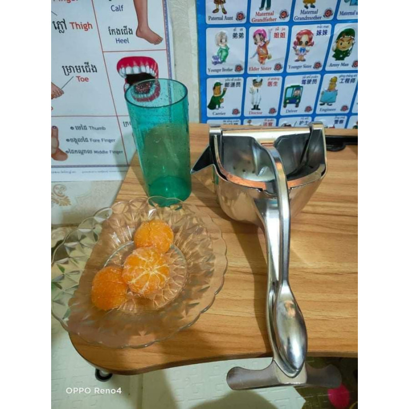 Stainless Orange Juicer