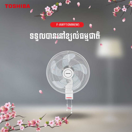 Wall Electrical Fan/White