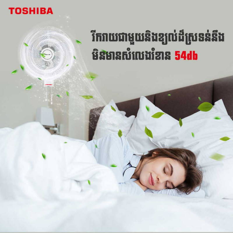 Wall Electrical Fan/White