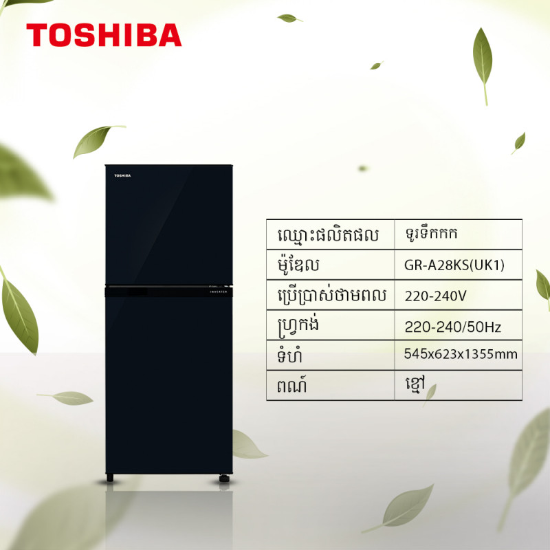TOSHIBA Inverter/Double door/Black/192L