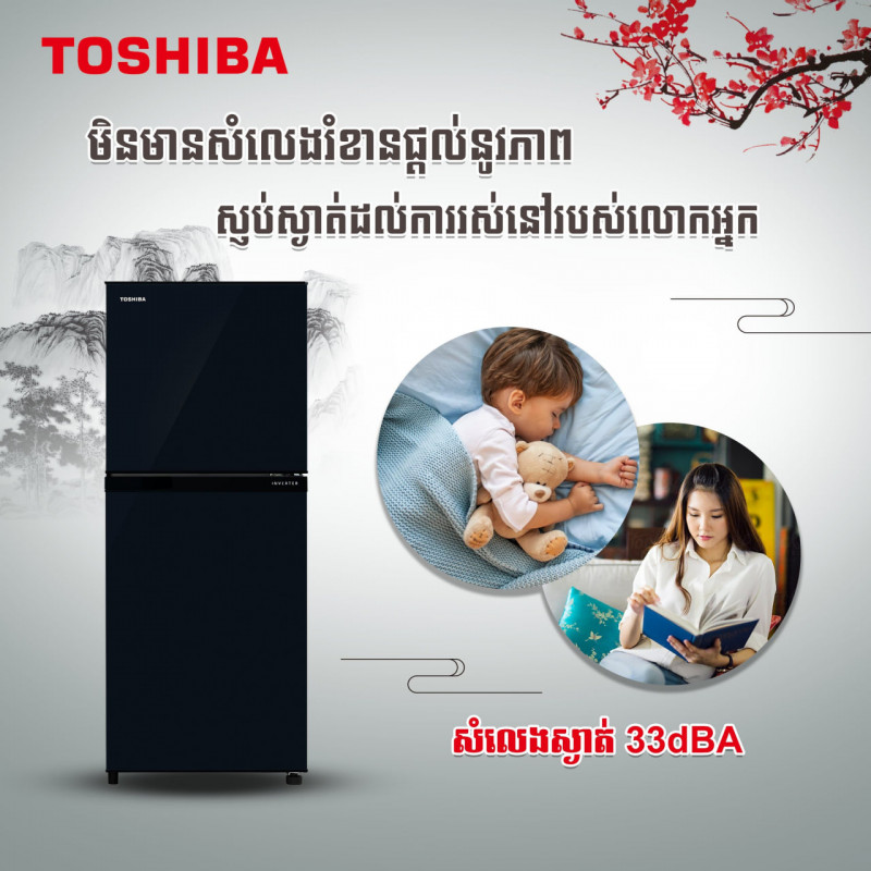 TOSHIBA Inverter/Double door/Black/231L