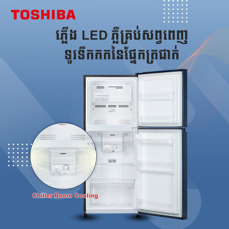 TOSHIBA Inverter/Double door/Black/231L