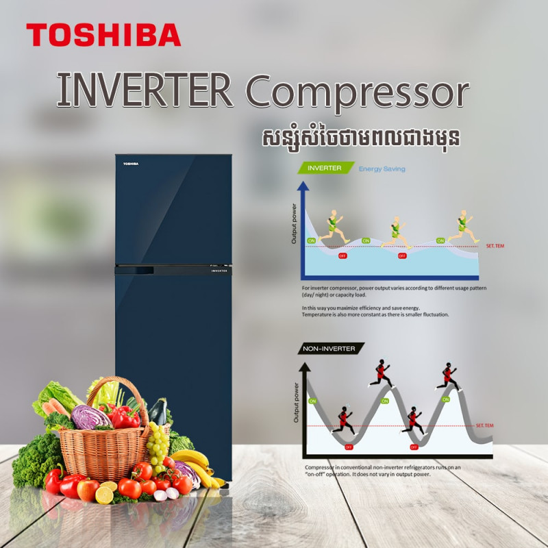 Toshiba Fridge Inverter/Double door/Dark blue/231L