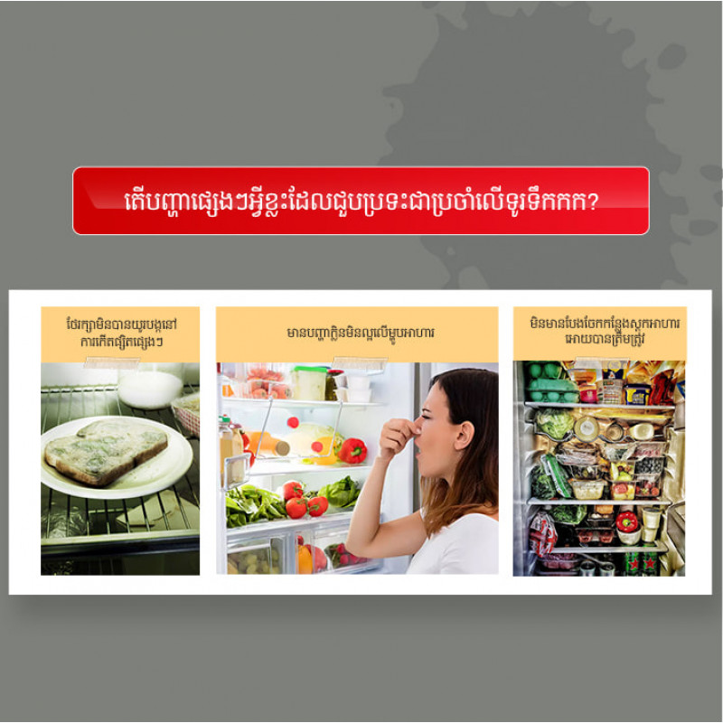 Toshiba ទូរទឹកកកទ្វារពីរម៉ូឌែល​ GR-RT252WE-PMFC(52) 